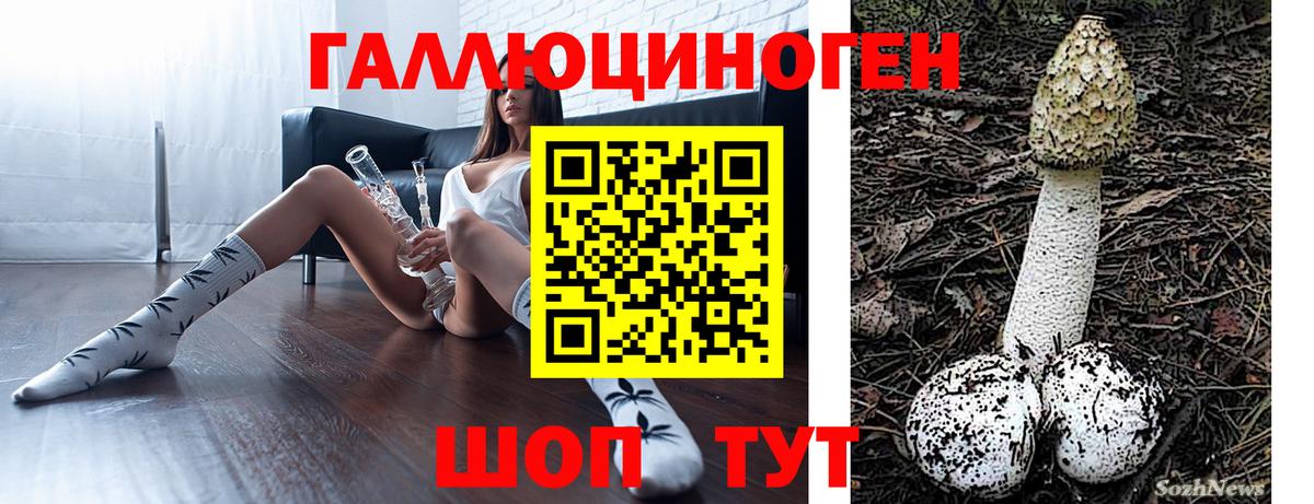 хочу наркоту  Галлюциногенные грибы Magic Shrooms  Вход с VPN  Волгоград 